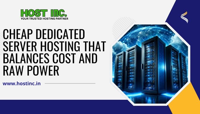 Cheap Dedicated Servers Hosting That Balances Cost and Raw Power